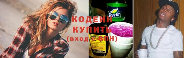 apvp Инсар