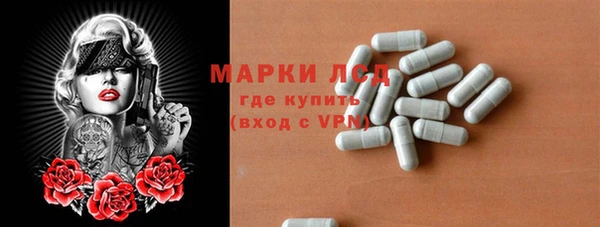 apvp Инсар