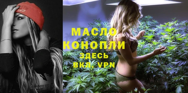 apvp Инсар