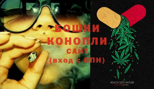 apvp Инсар