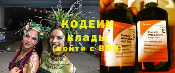 прущая мука Иннополис