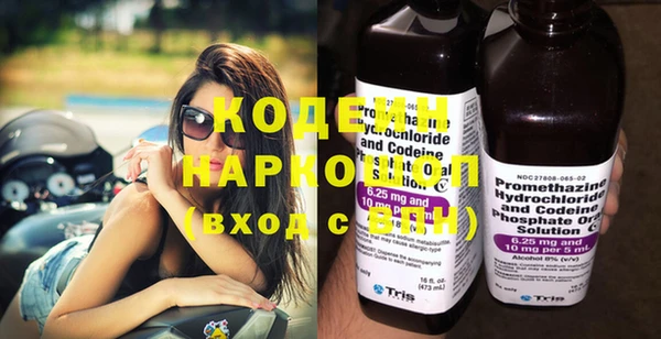 apvp Инсар