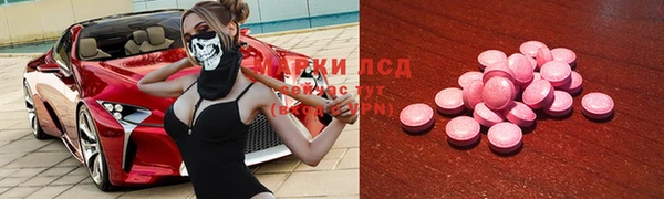ПСИЛОЦИБИНОВЫЕ ГРИБЫ Каменка