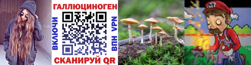 Галлюциногенные грибы MAGIC MUSHROOMS купить Козловка